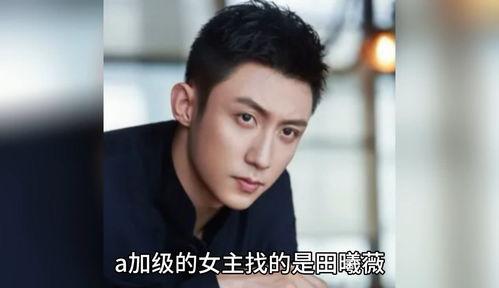 吃瓜群八卦娱乐圈,吃瓜群里的秘密风云